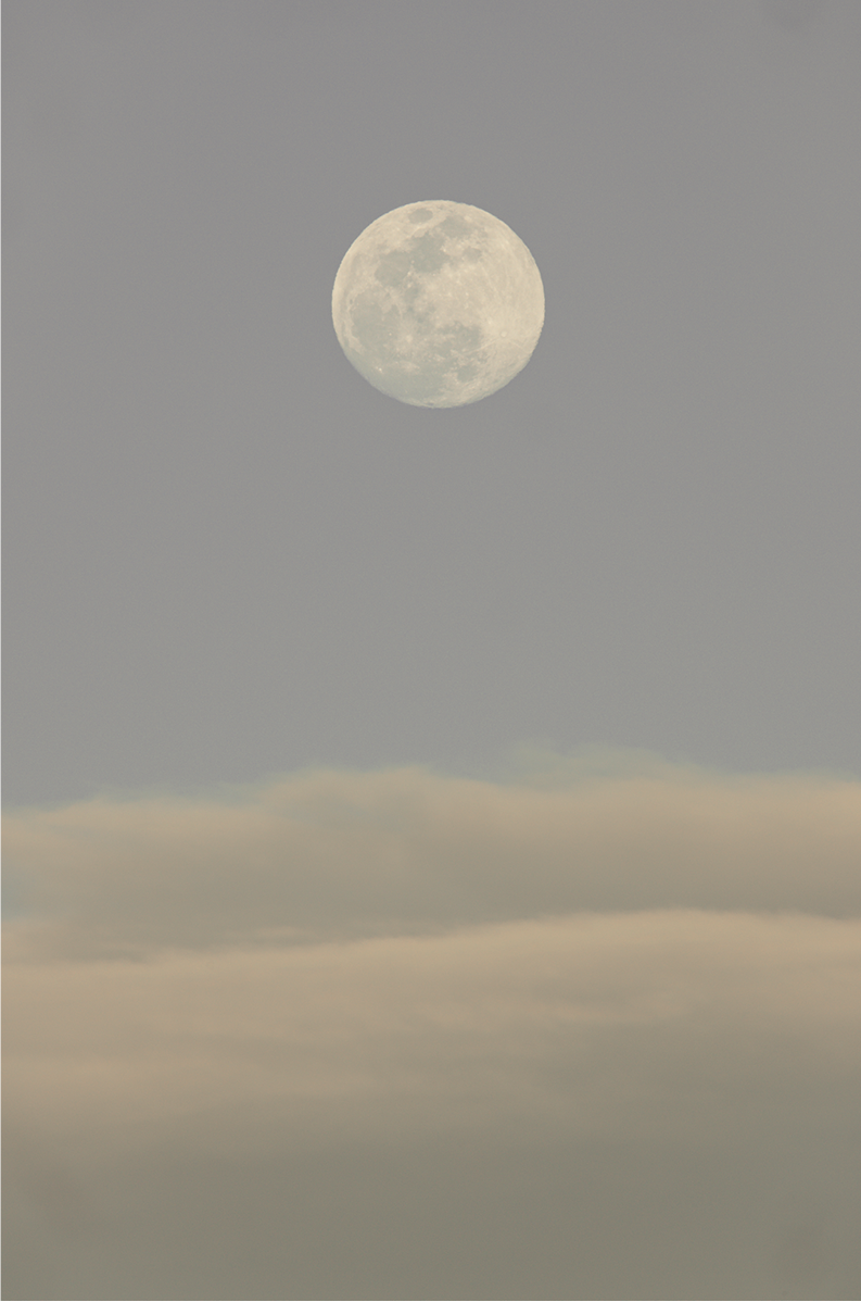 Moonrise in the Park, Two