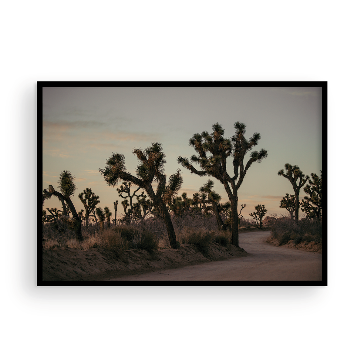 Sunset in the Park, One
