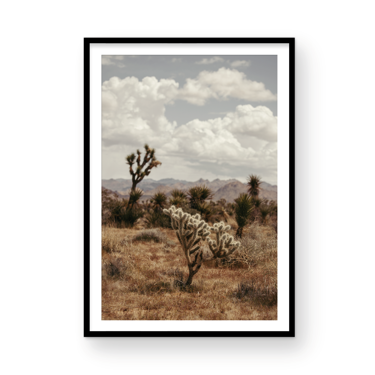 29 Palms Highway, Three