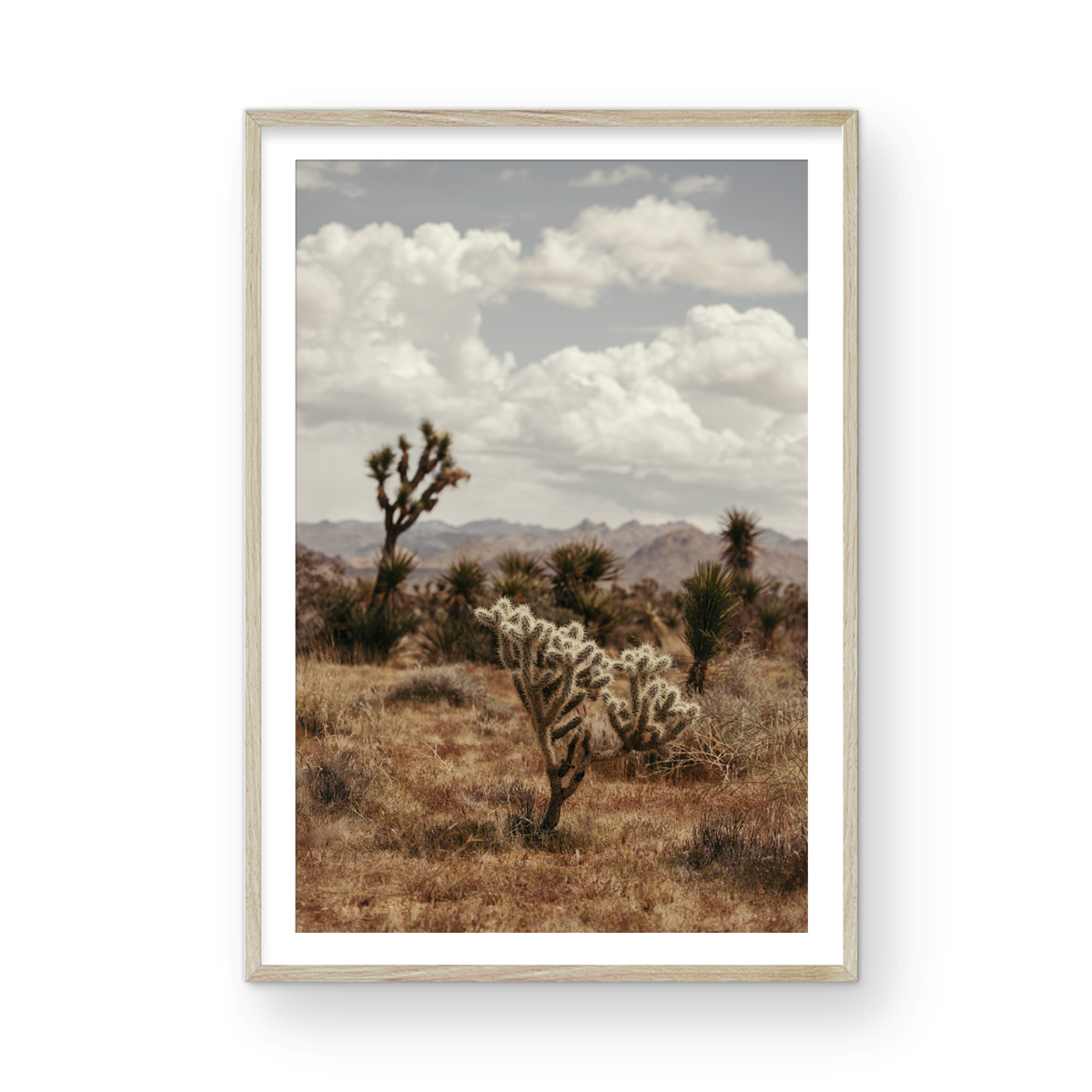 29 Palms Highway, Three