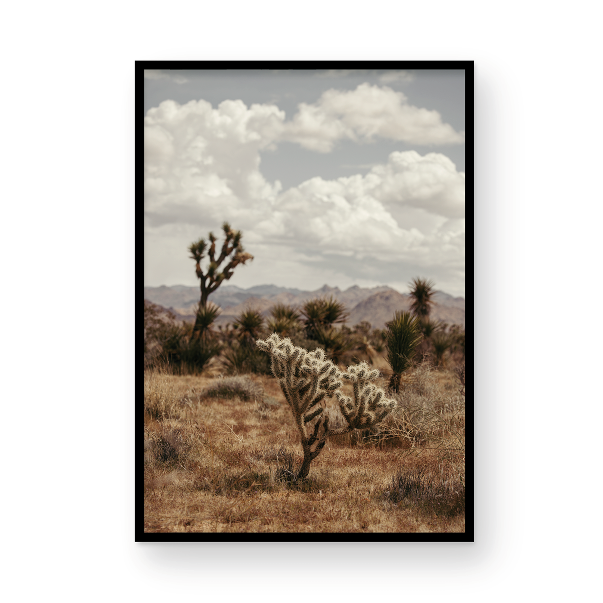 29 Palms Highway, Three