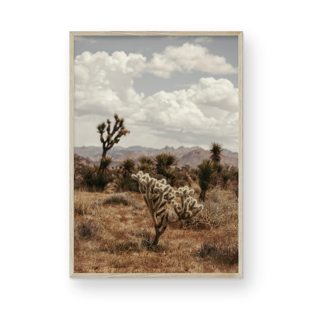 29 Palms Highway, Three