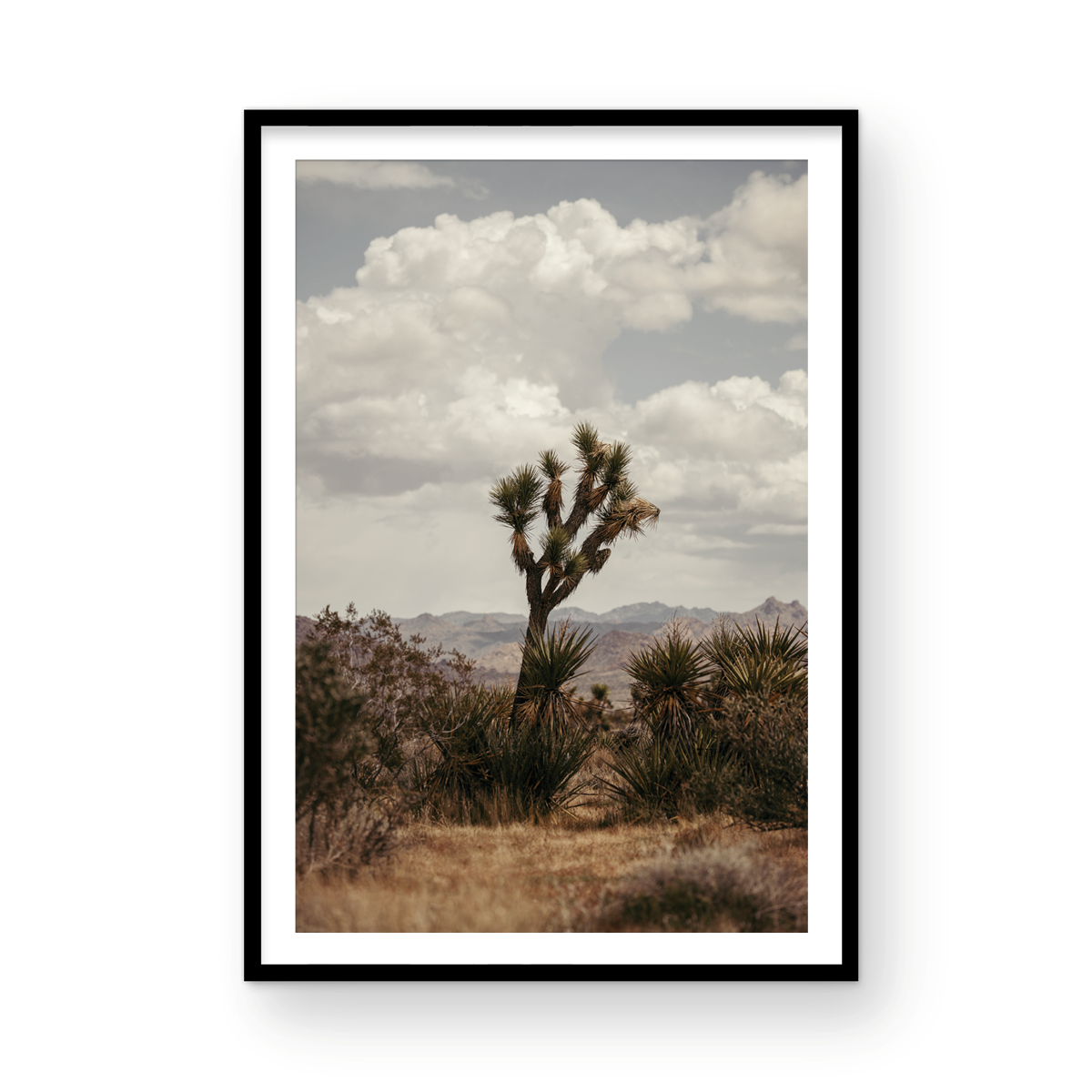 29 Palms Highway, Two