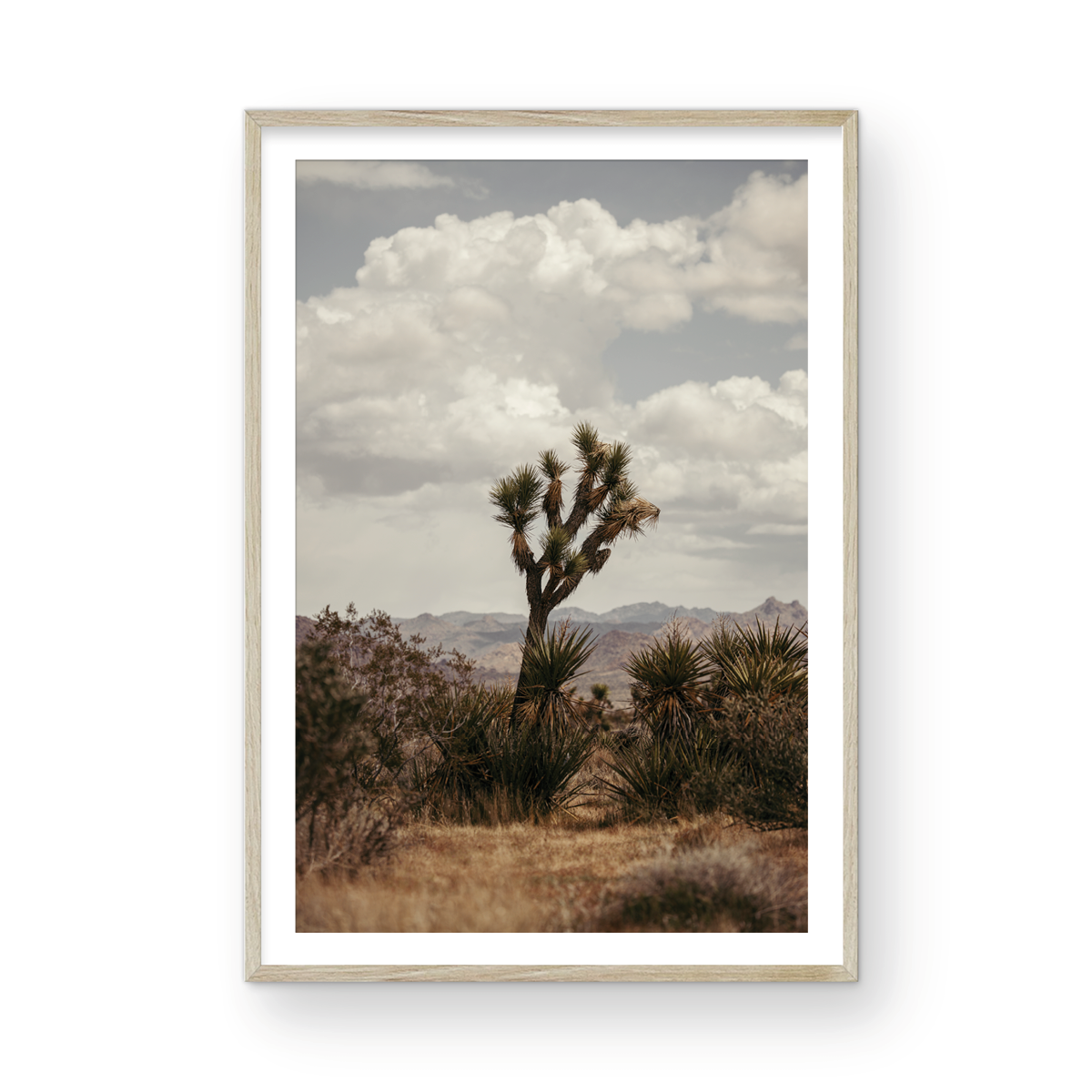 29 Palms Highway, Two