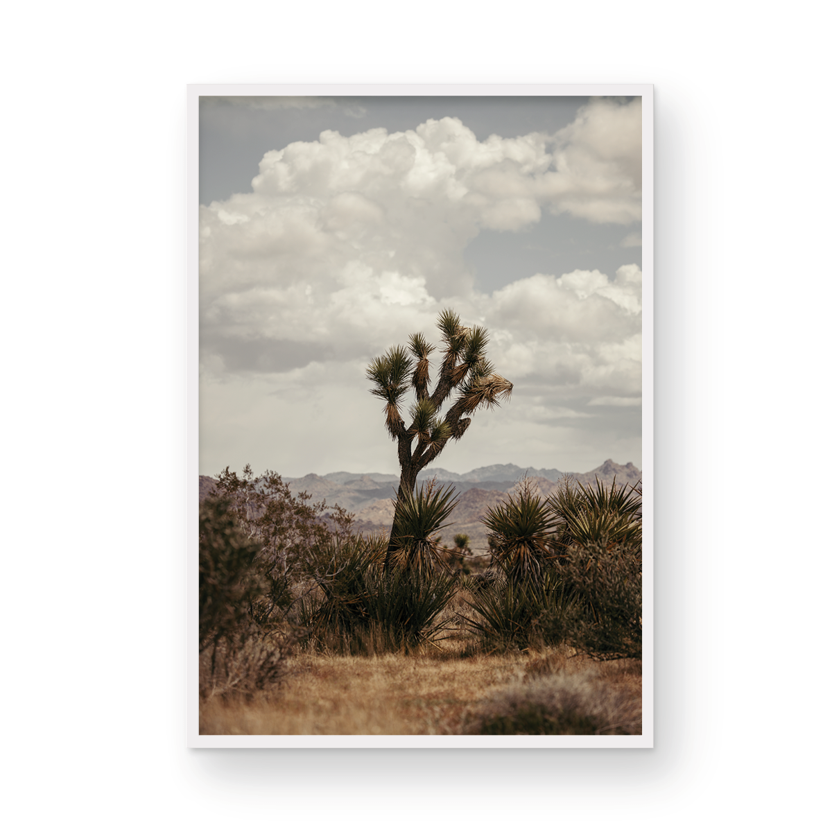 29 Palms Highway, Two