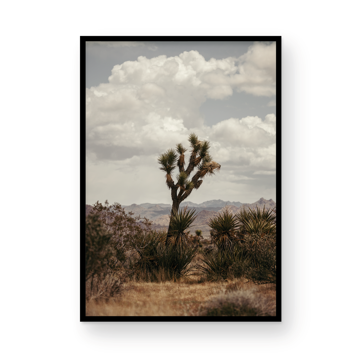 29 Palms Highway, Two