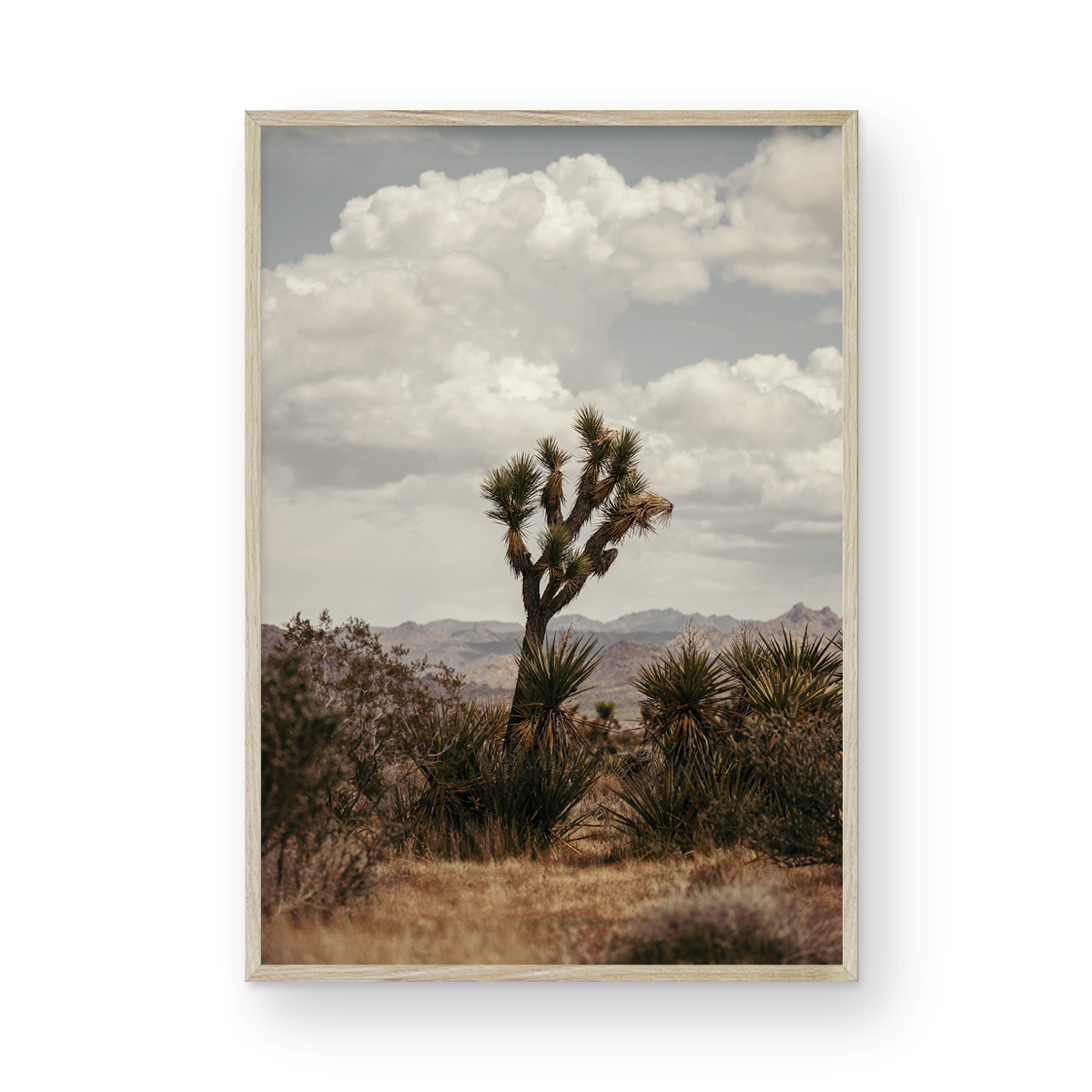 29 Palms Highway, Two
