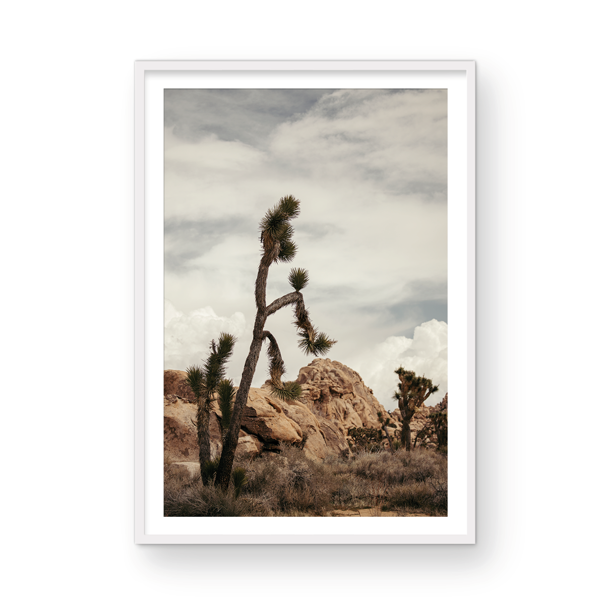 Joshua Tree, Two