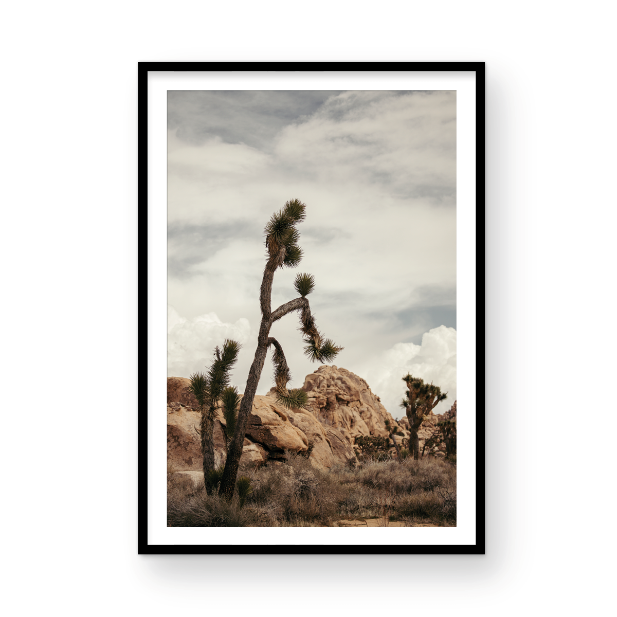 Joshua Tree, Two