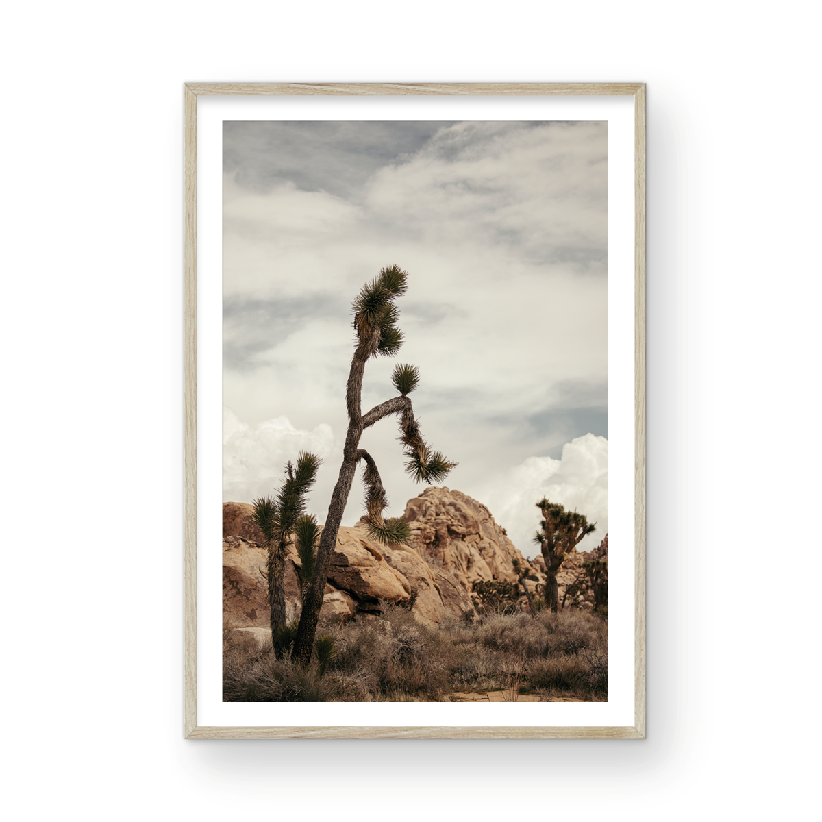 Joshua Tree, Two