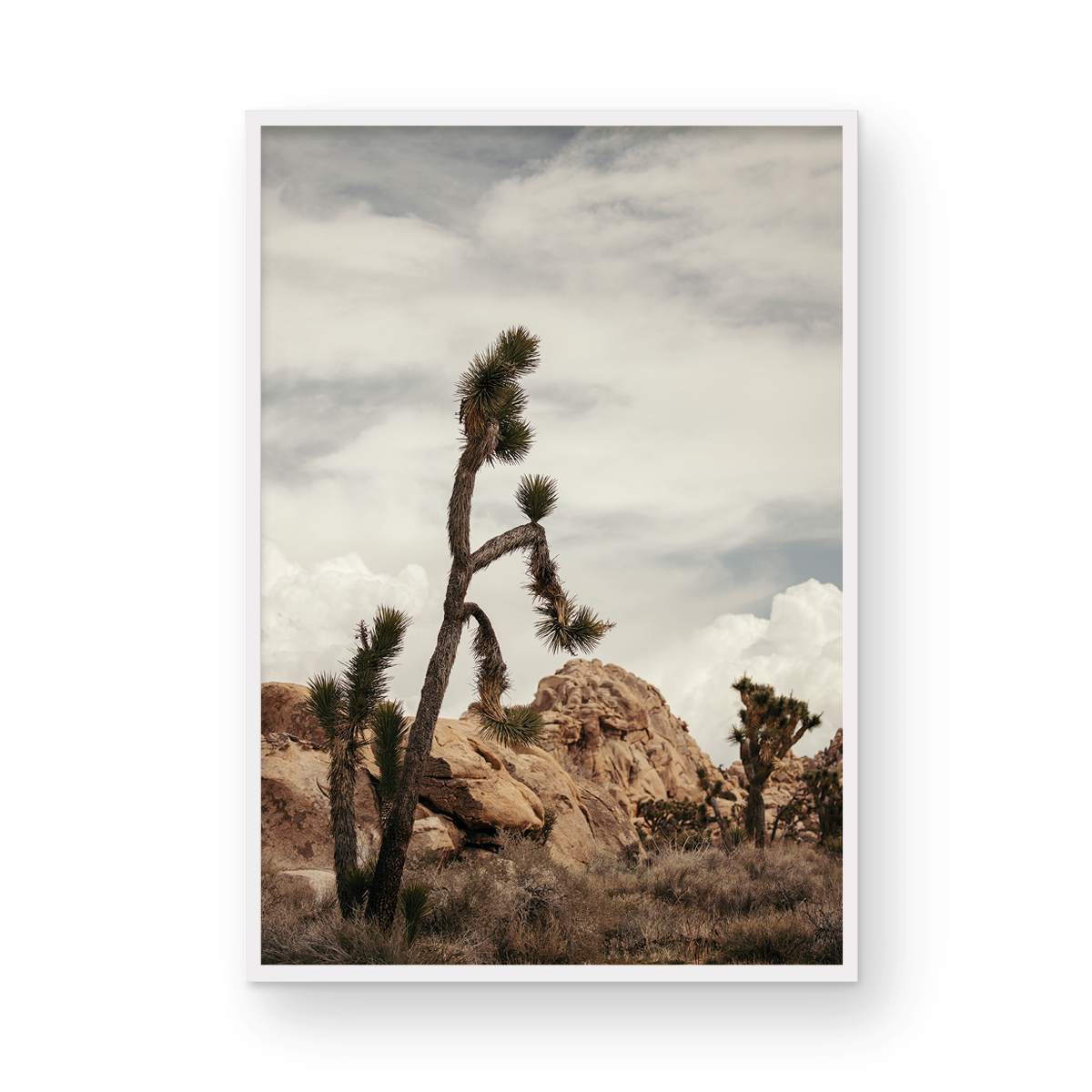 Joshua Tree, Two