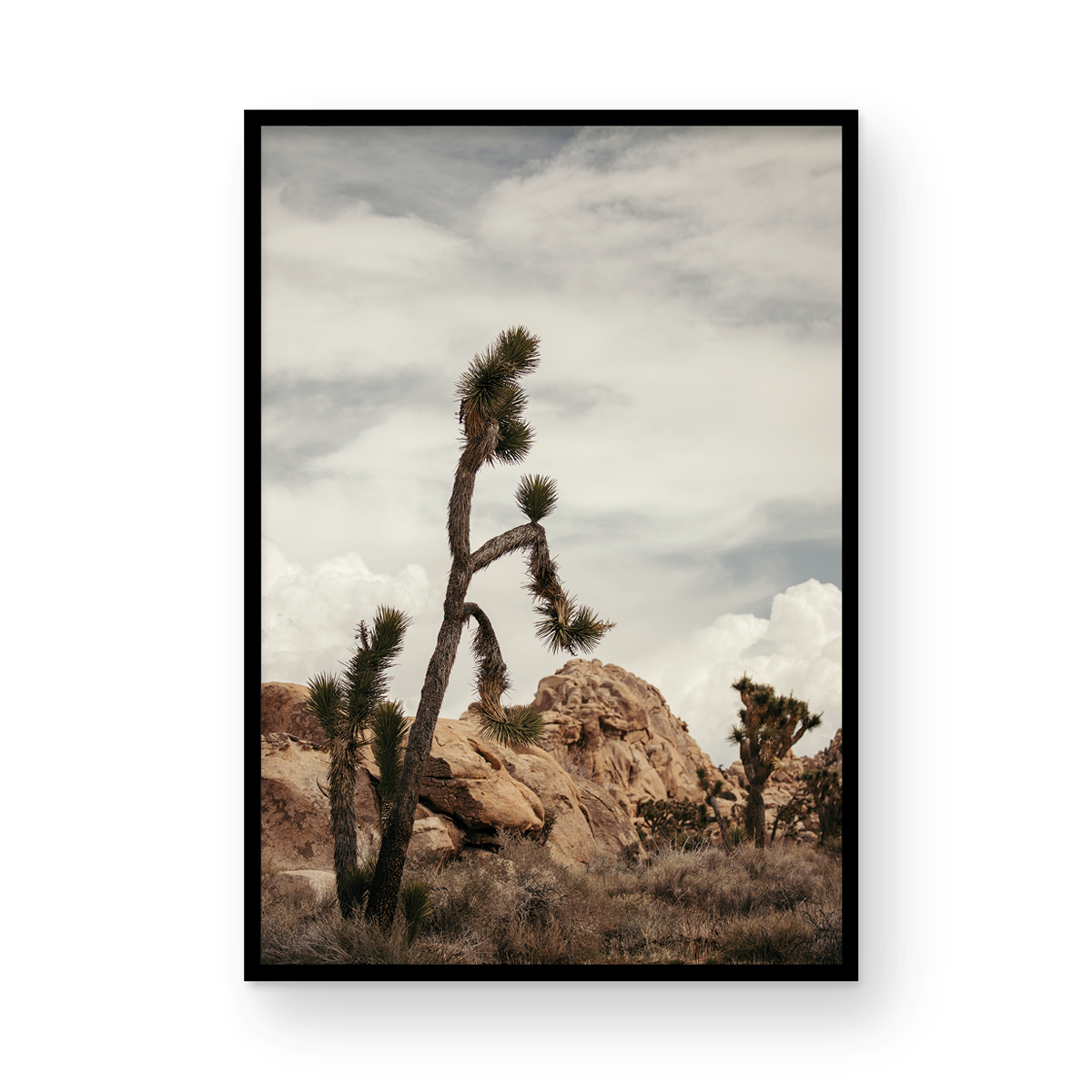 Joshua Tree, Two