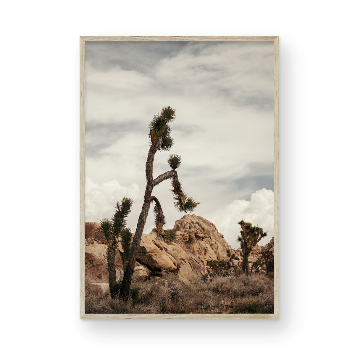Joshua Tree, Two