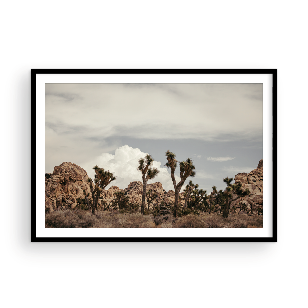 Joshua Tree, Three