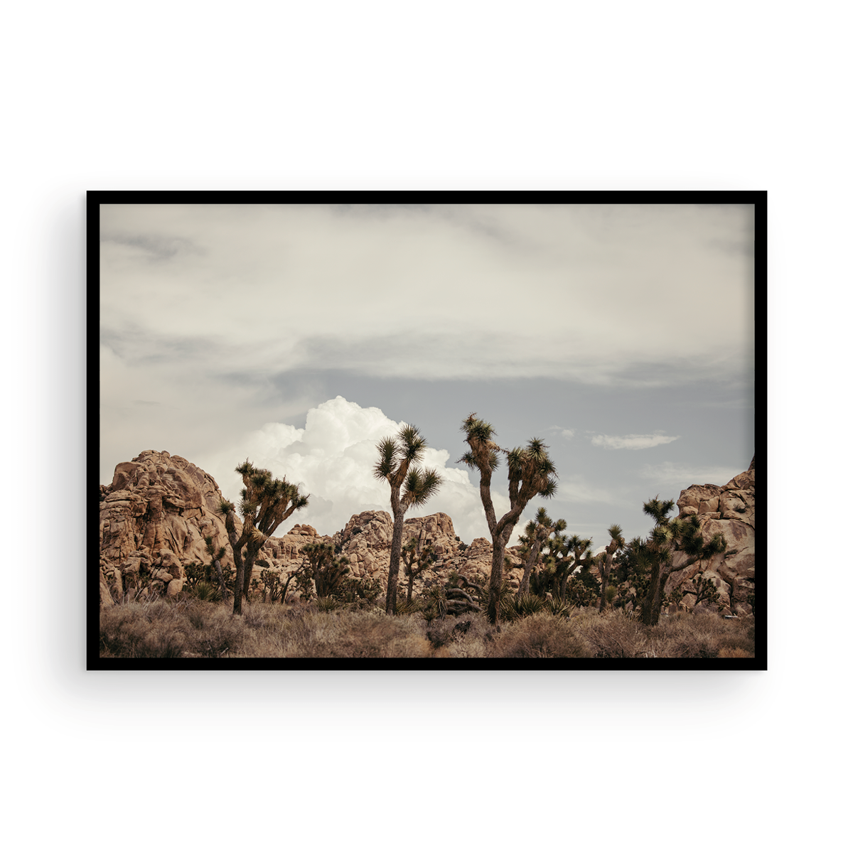Joshua Tree, Three