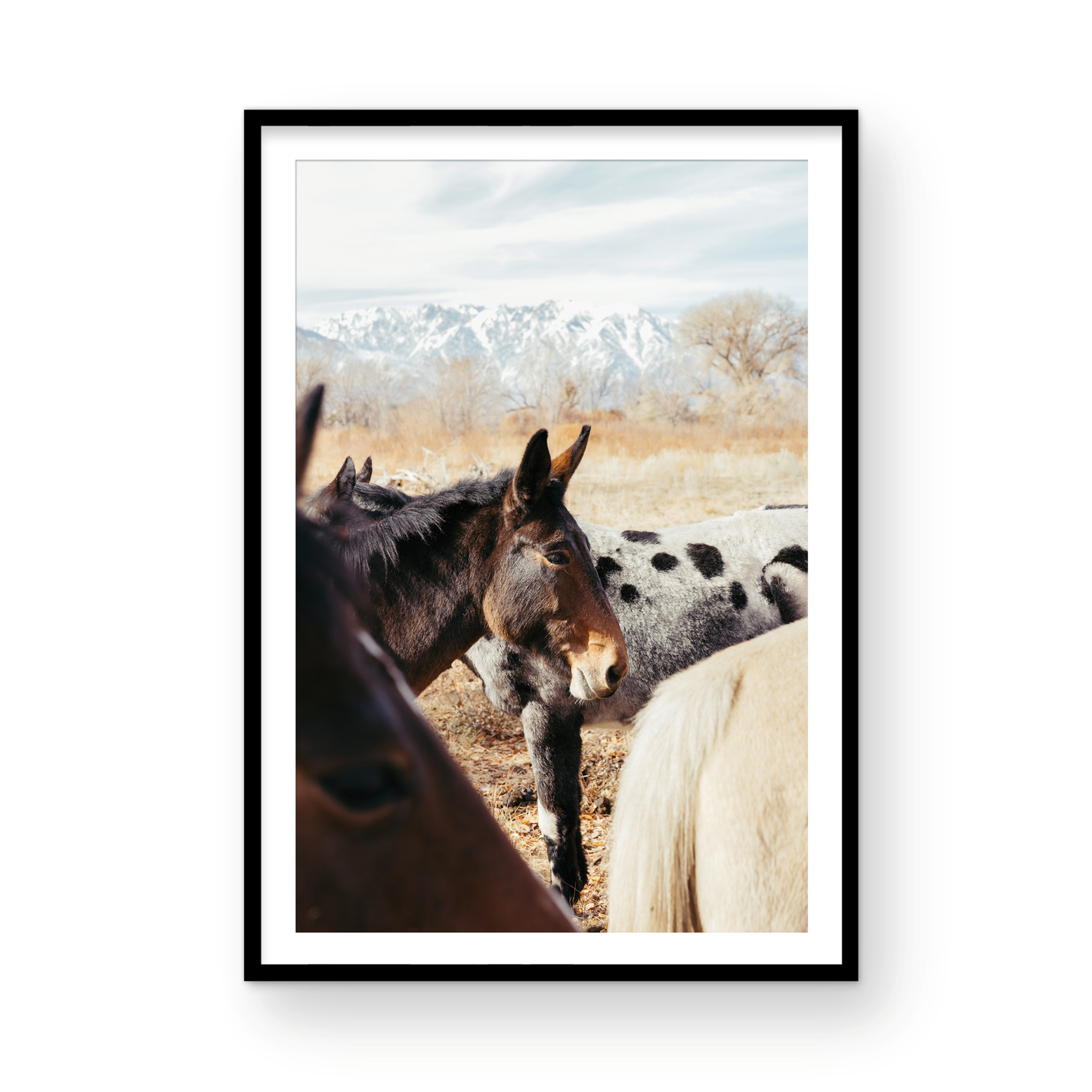 Mule Days, Two