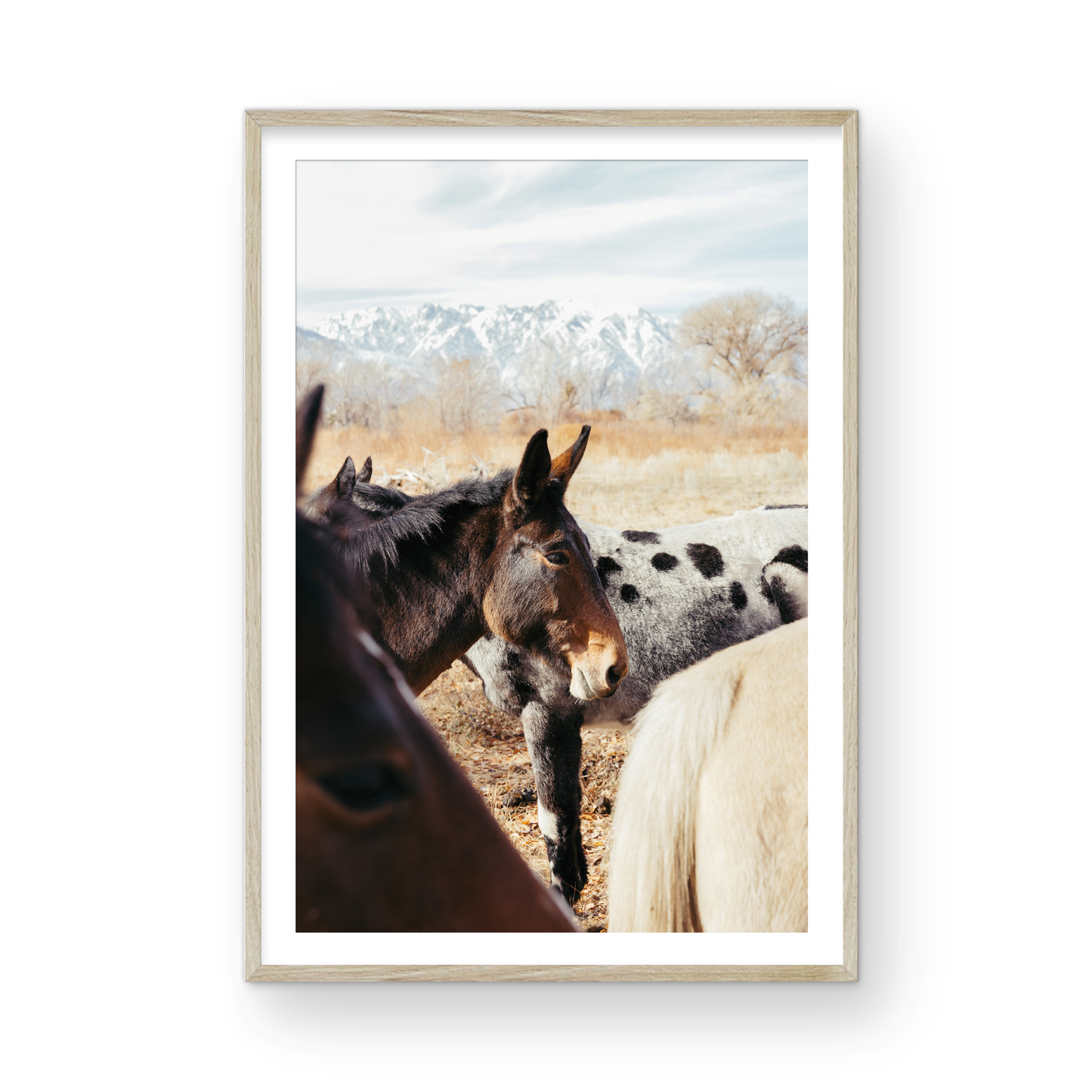Mule Days, Two