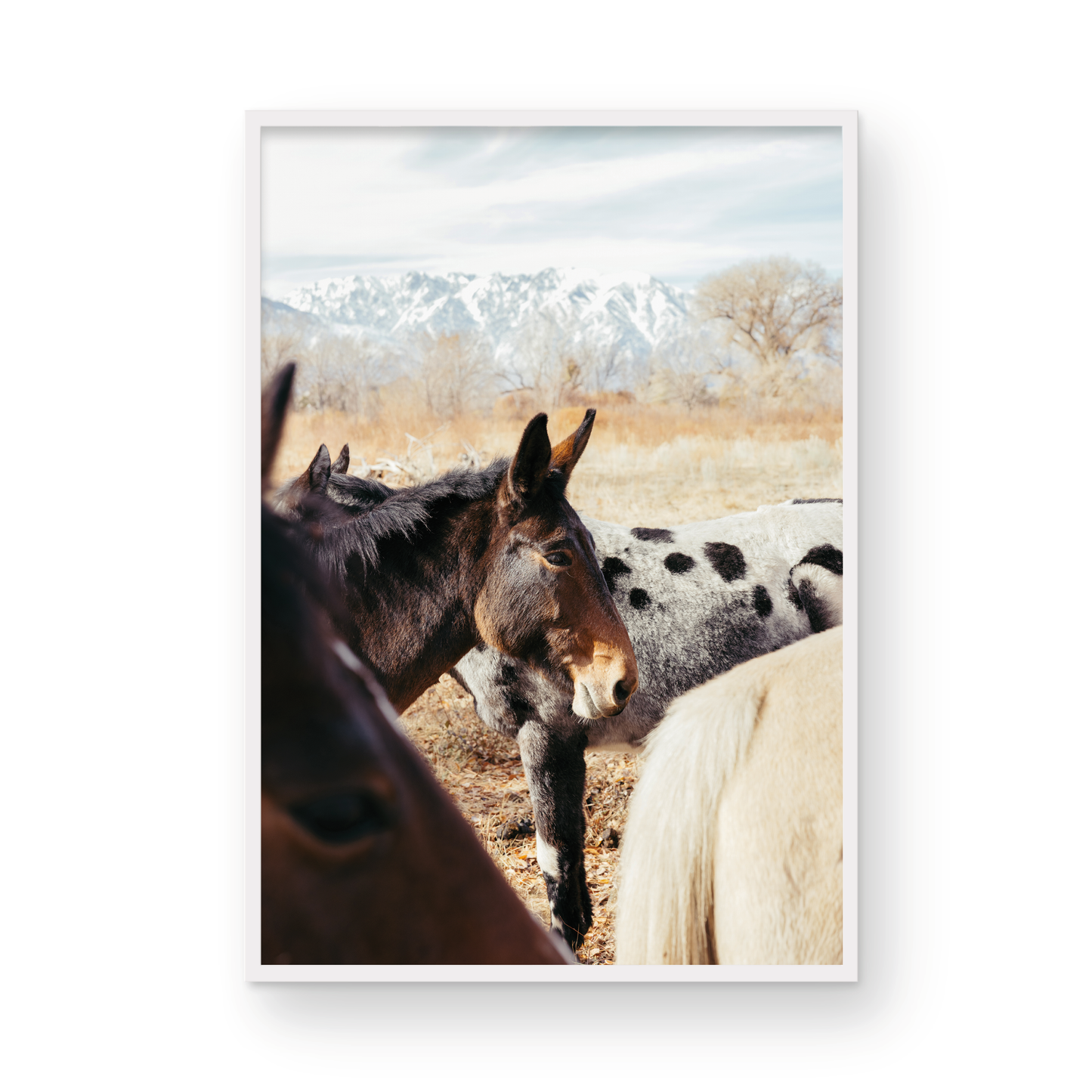 Mule Days, Two