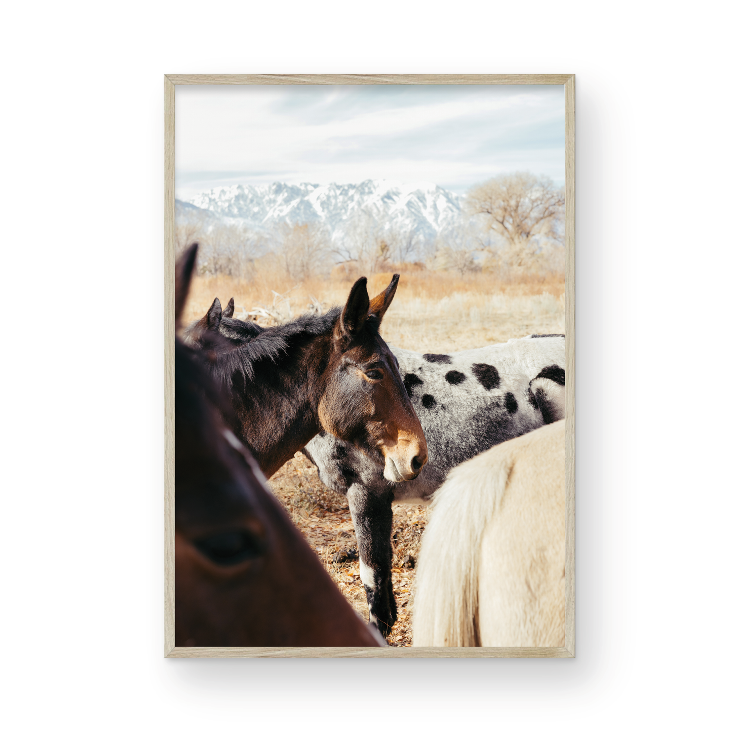 Mule Days, Two