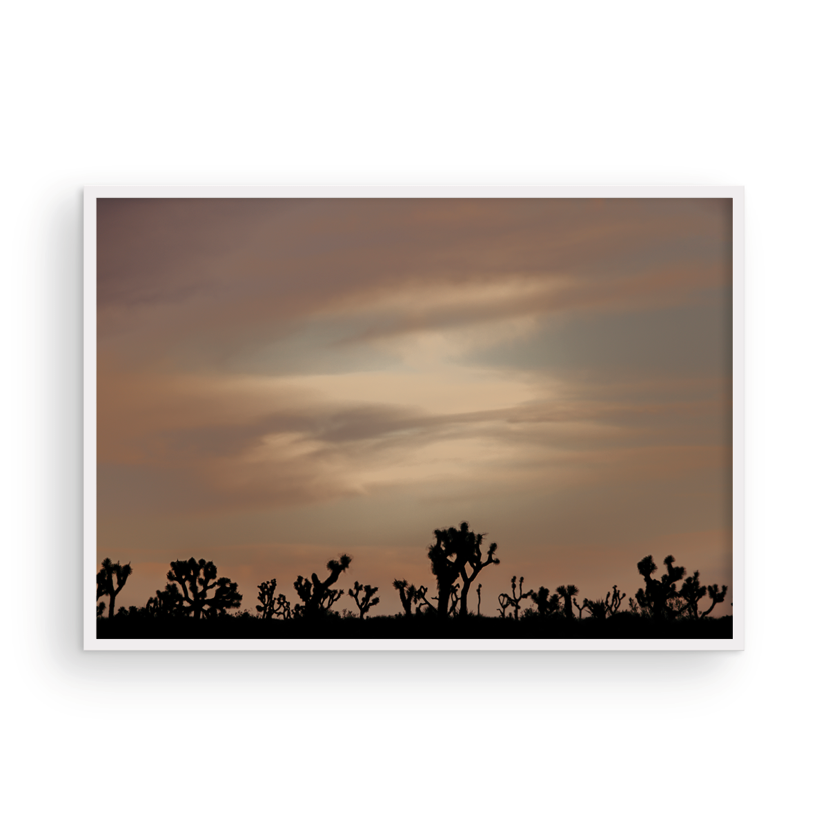 Sunset in the Park, Three