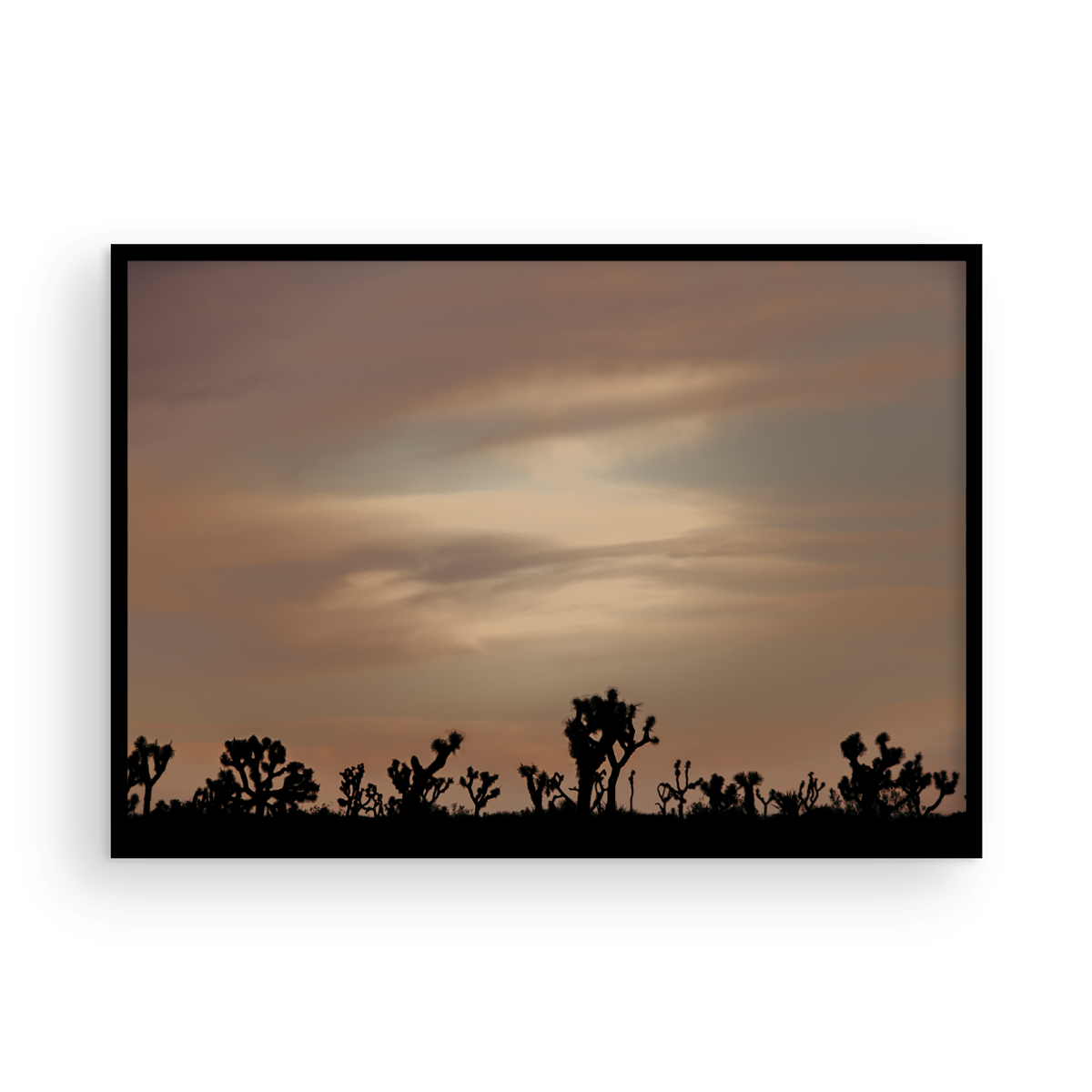 Sunset in the Park, Three