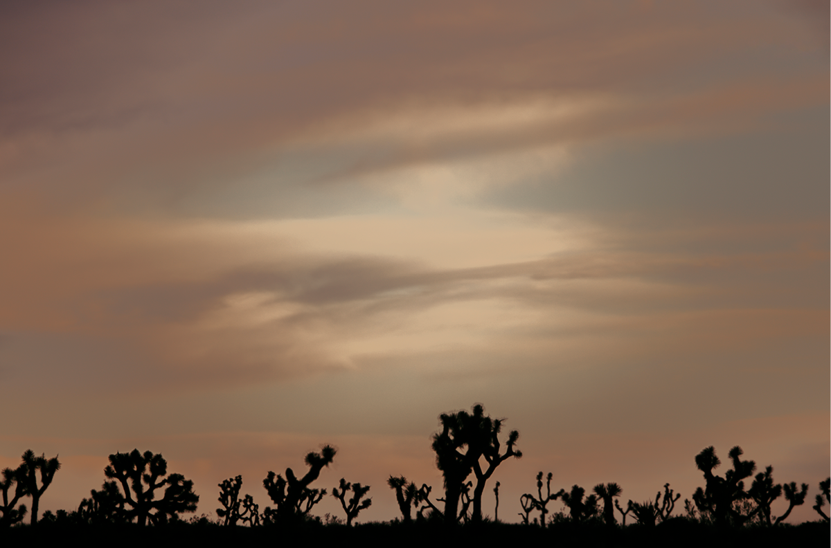 Sunset in the Park, Three