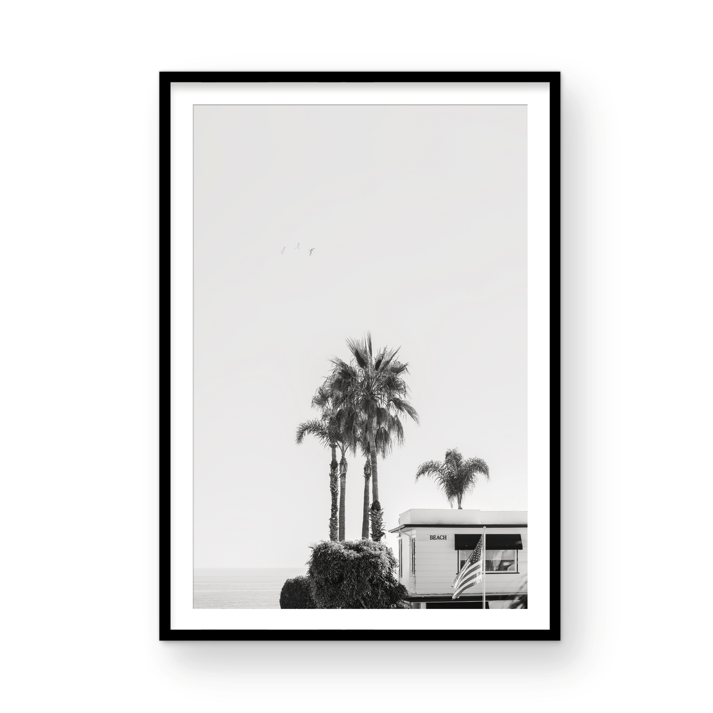 Seaside Laguna: Monochrome