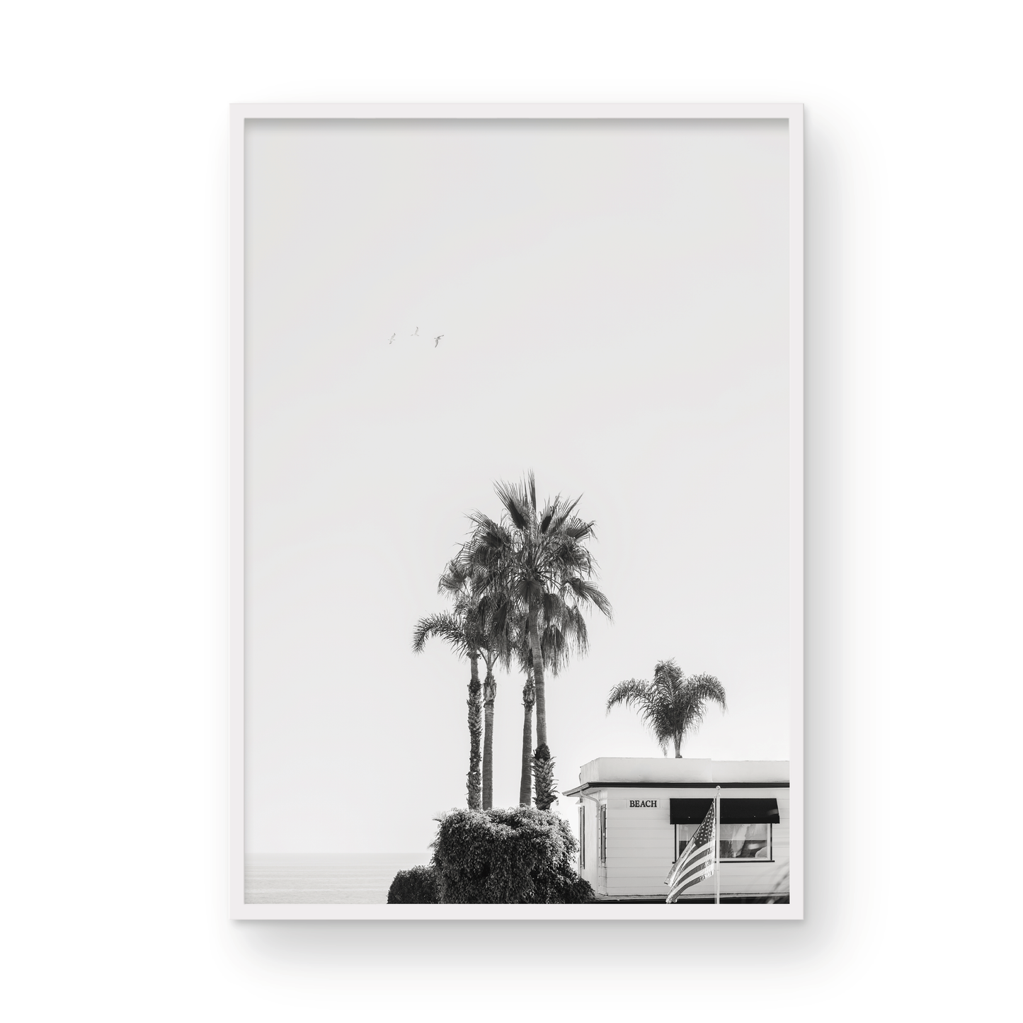 Seaside Laguna: Monochrome