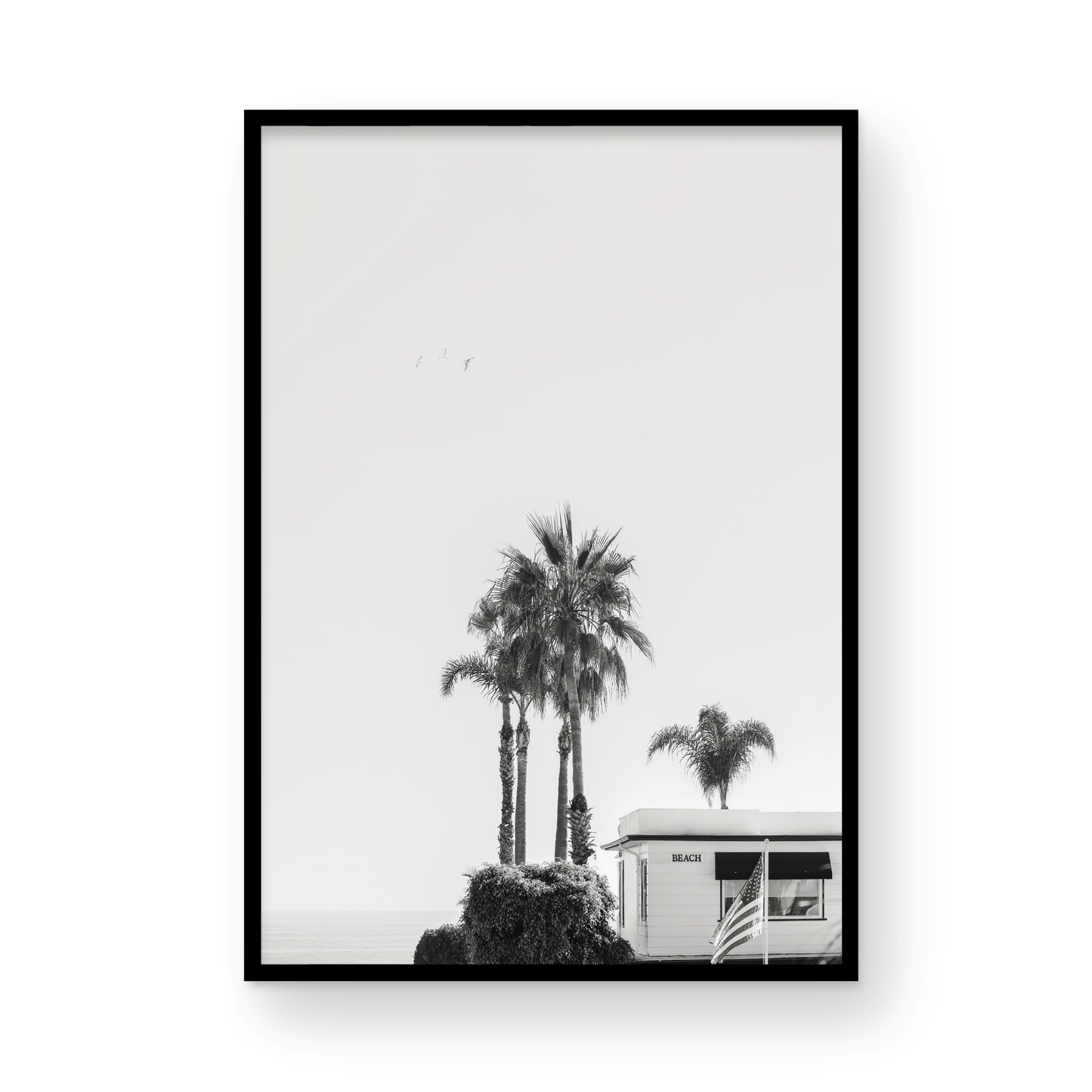 Seaside Laguna: Monochrome
