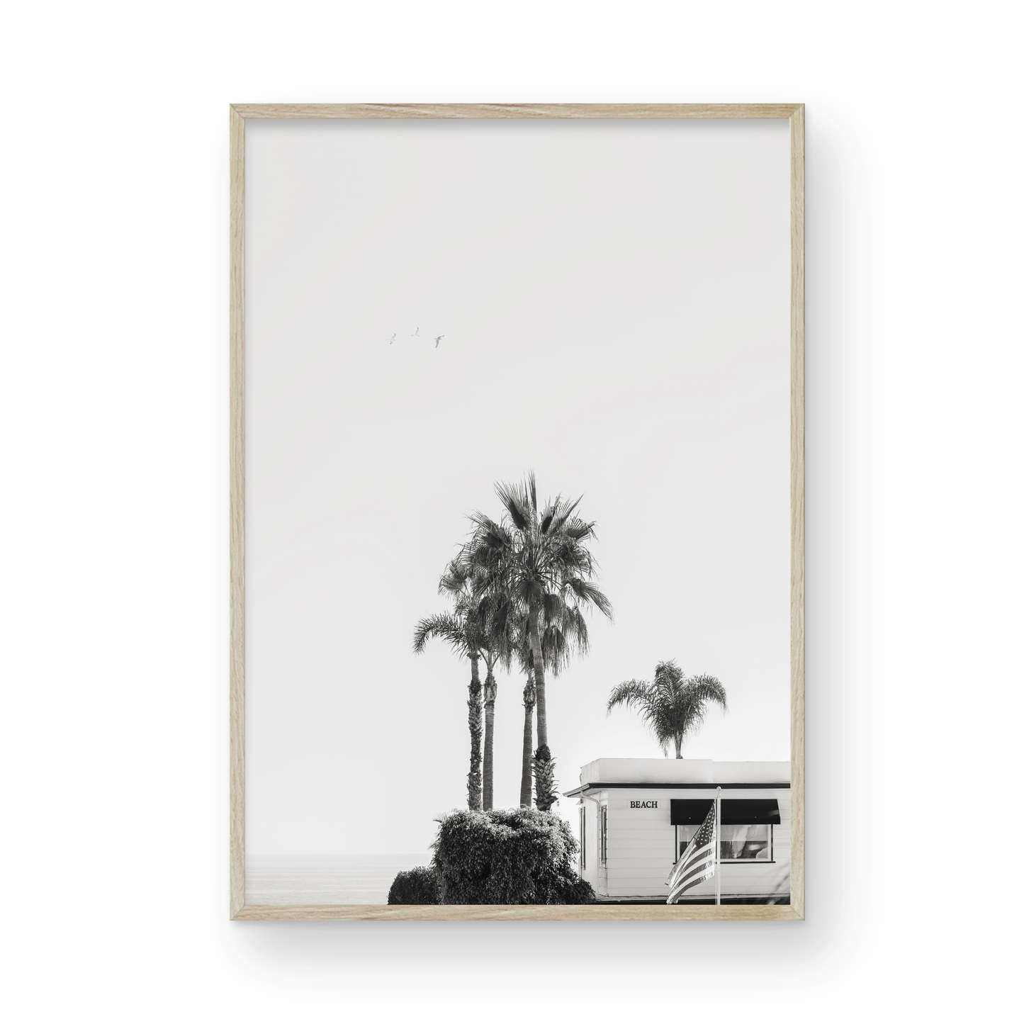 Seaside Laguna: Monochrome