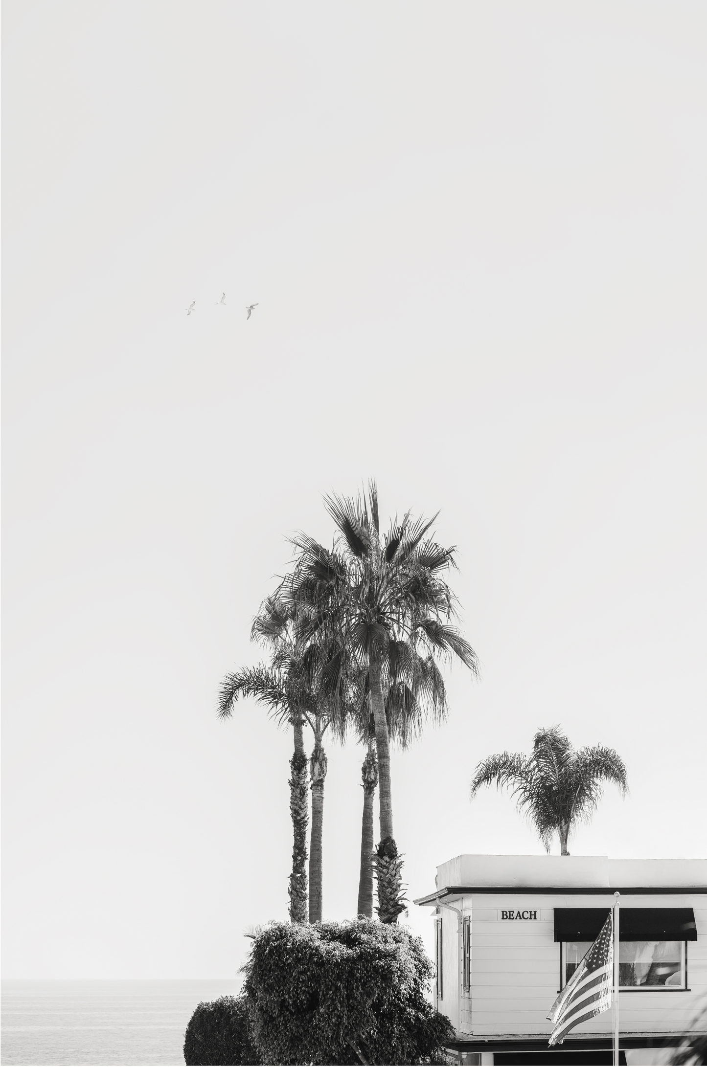 Seaside Laguna: Monochrome
