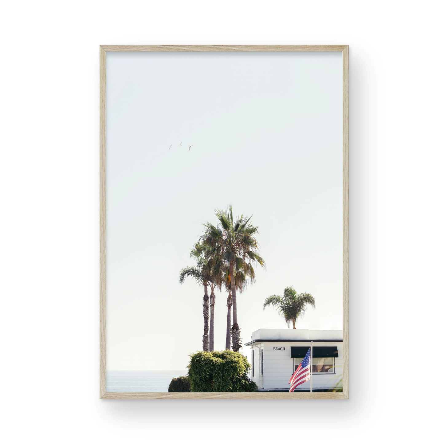 Seaside Laguna