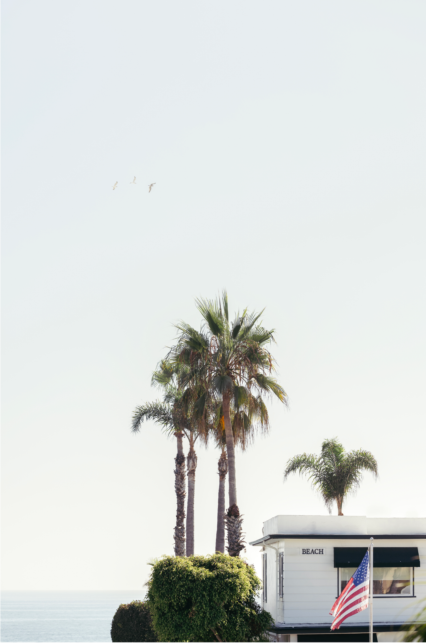 Seaside Laguna