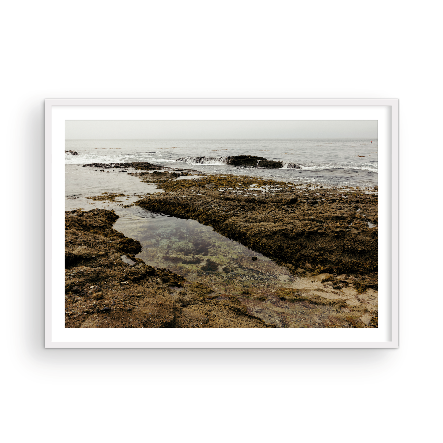 Goff Cove, One