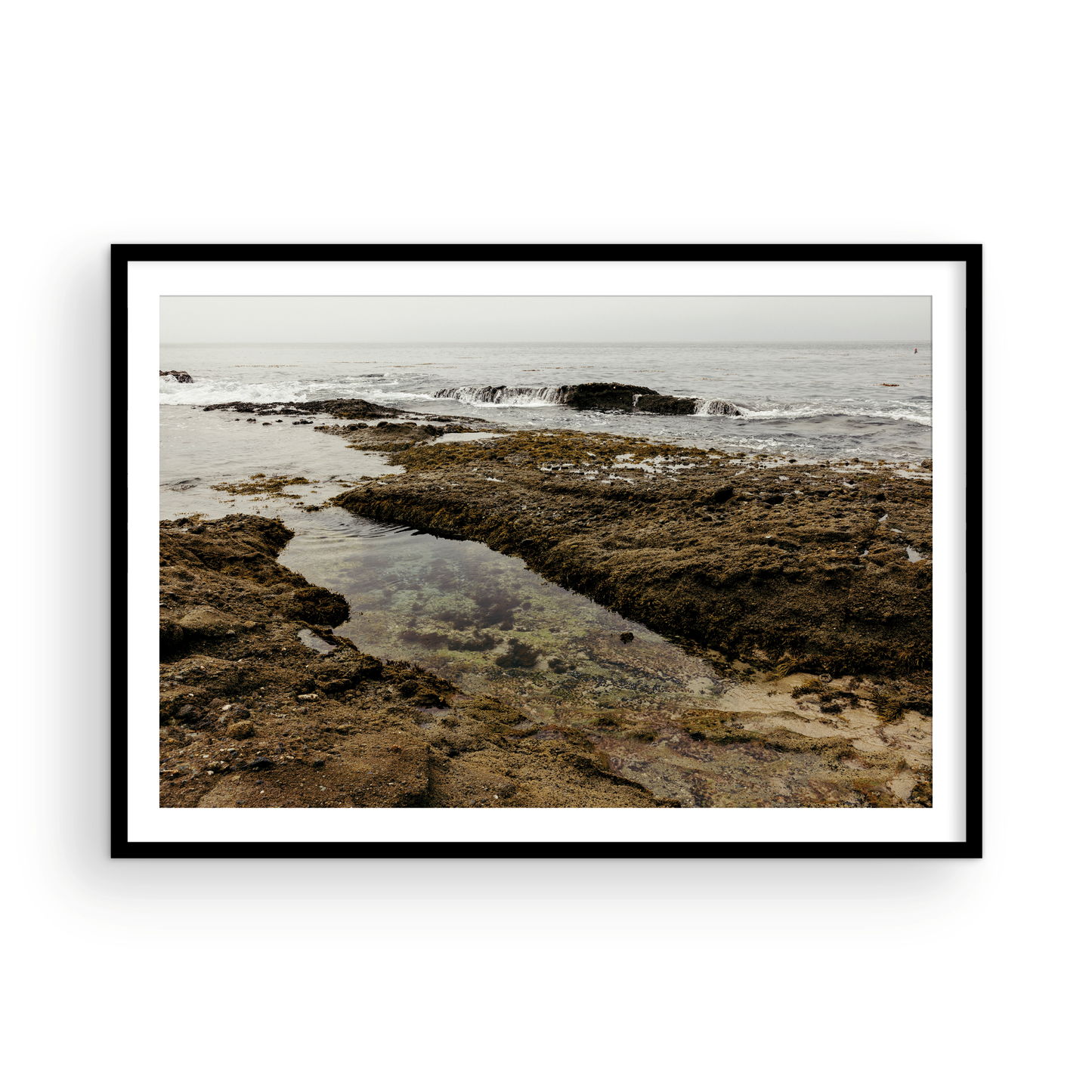 Goff Cove, One