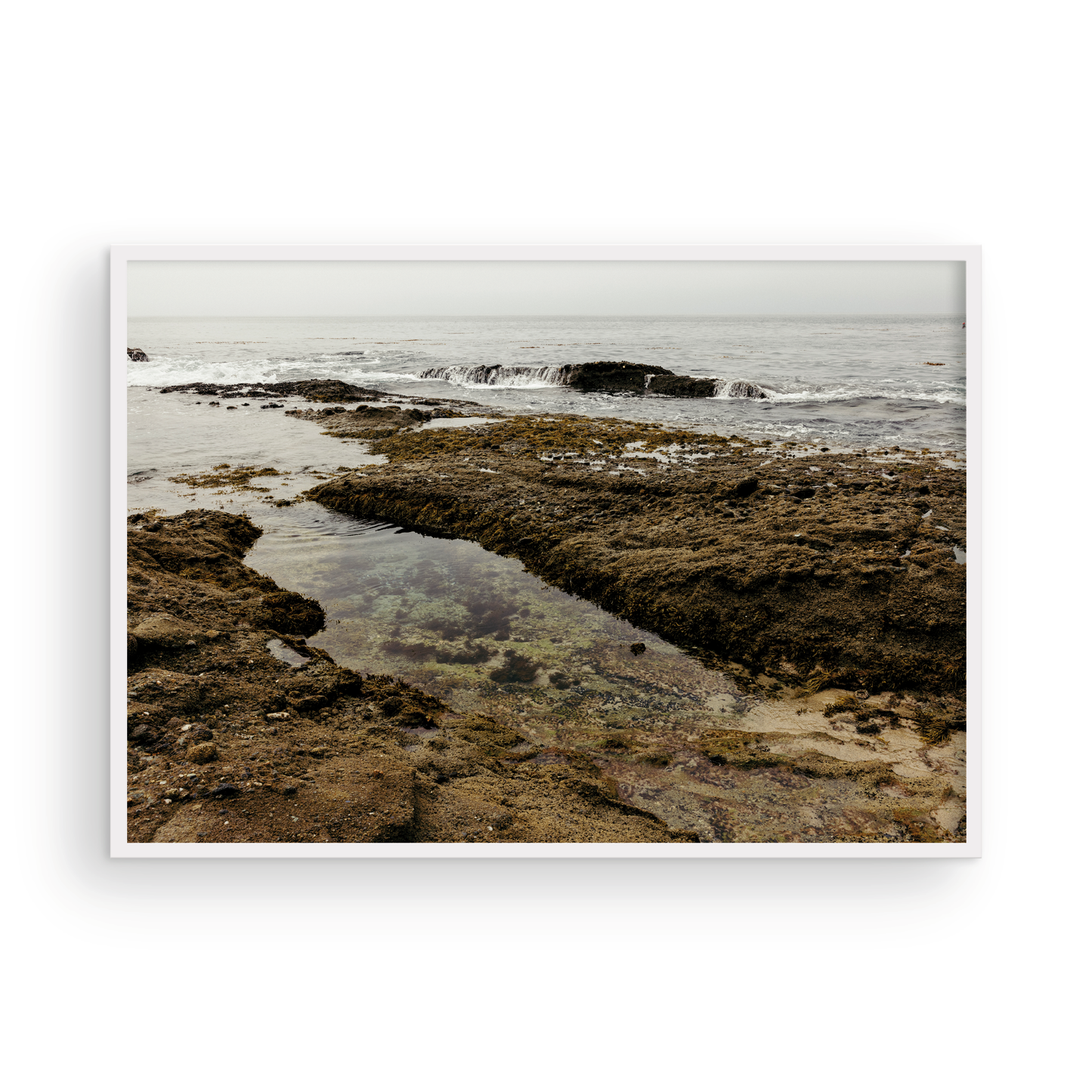 Goff Cove, One
