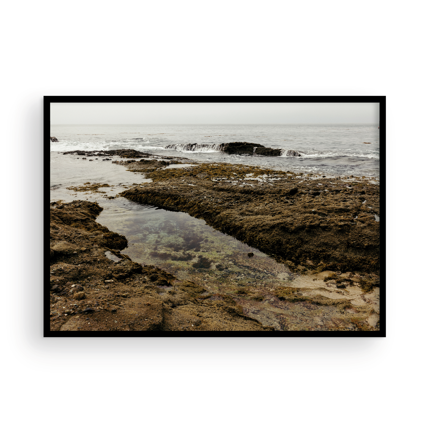 Goff Cove, One