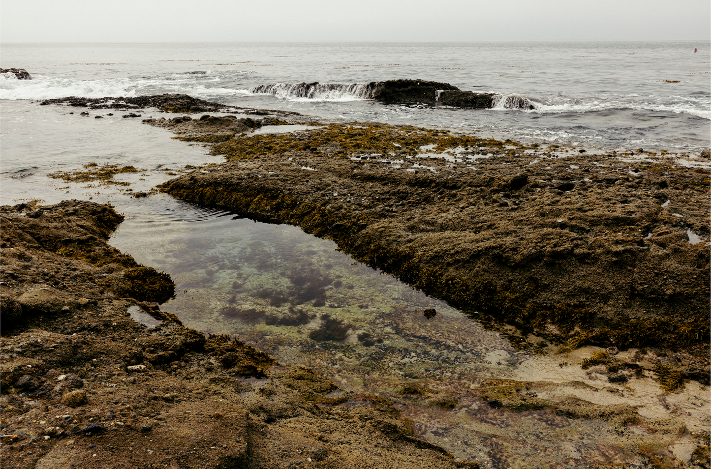 Goff Cove, One
