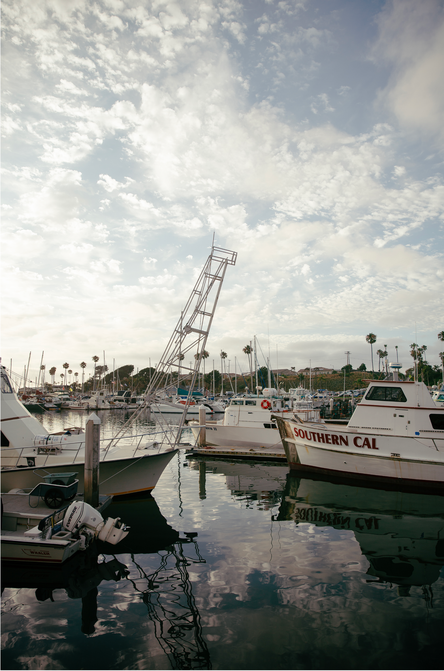 Oceanside, Eight