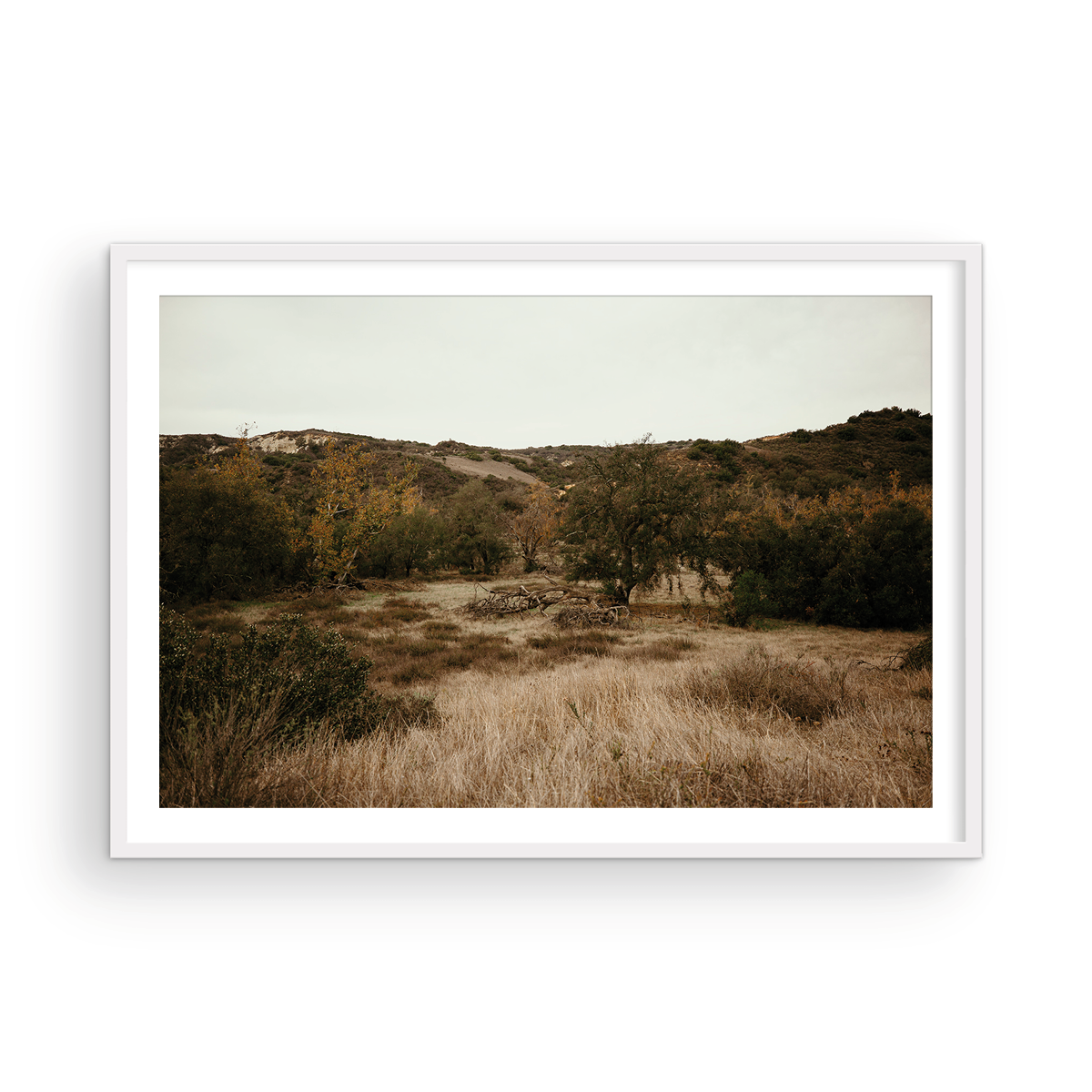 Caspers Wilderness, Two
