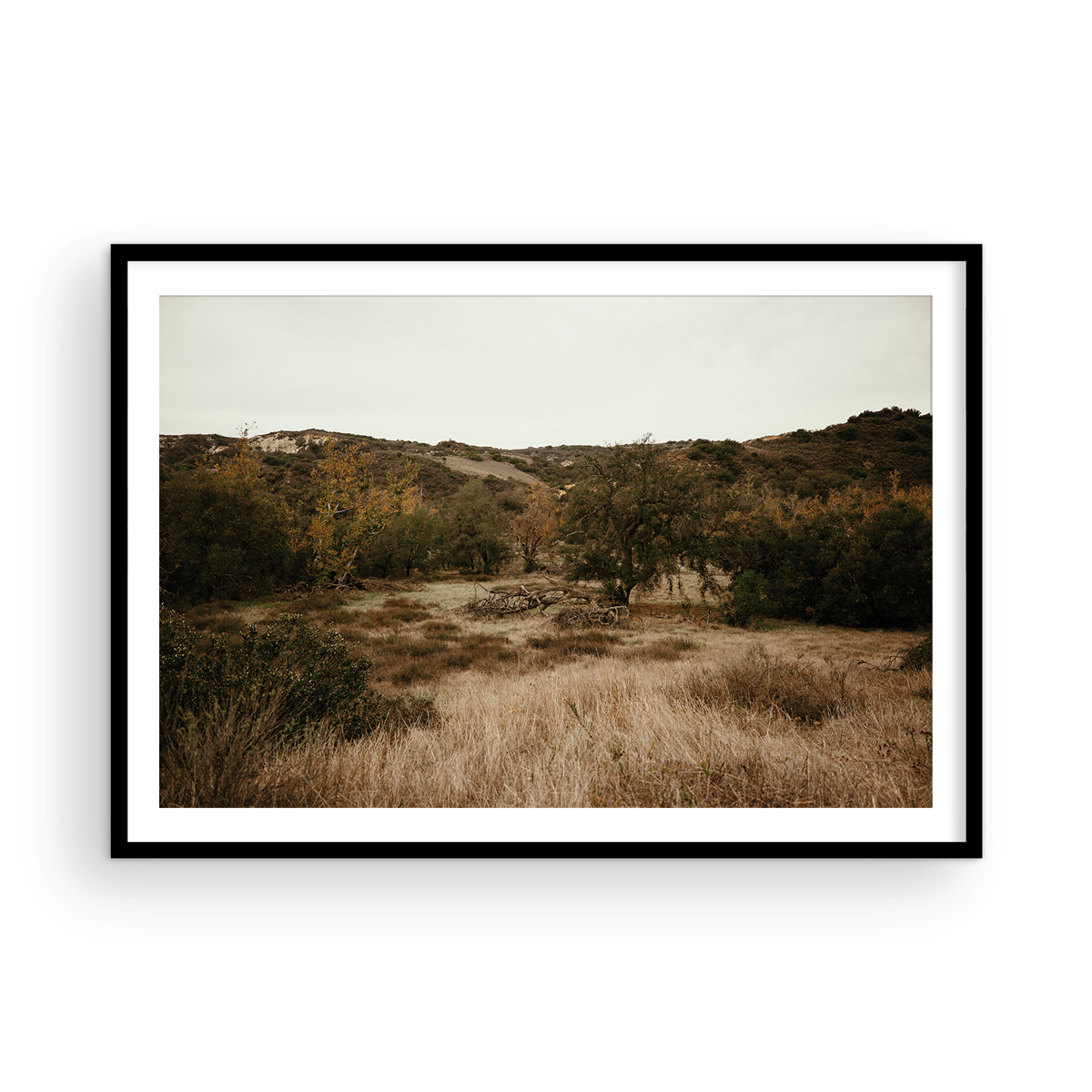 Caspers Wilderness, Two