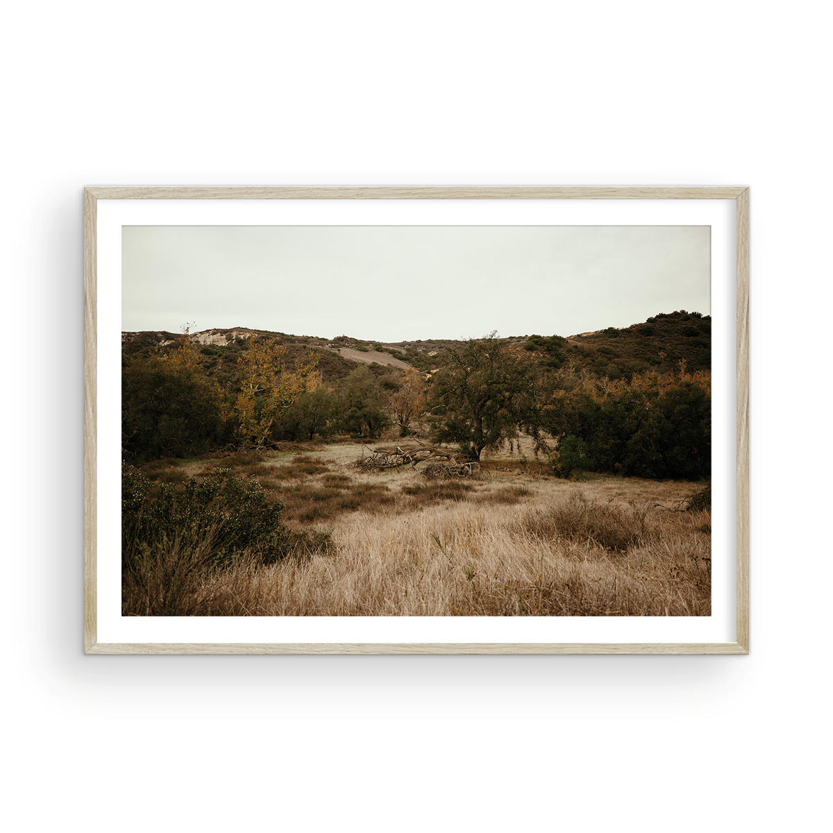 Caspers Wilderness, Two