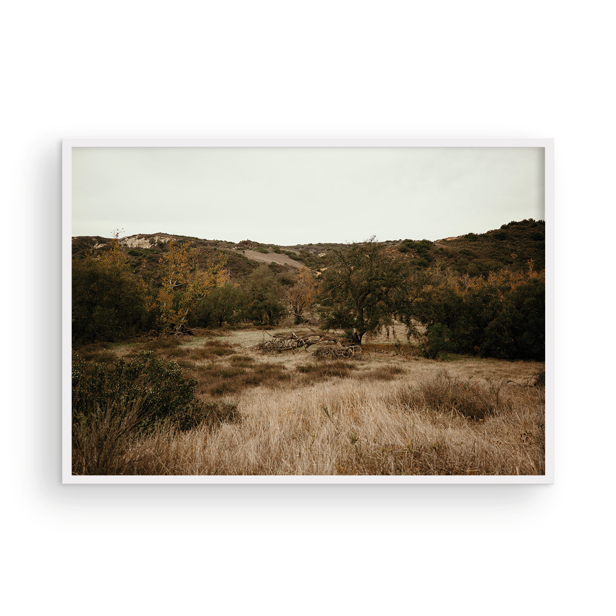 Caspers Wilderness, Two