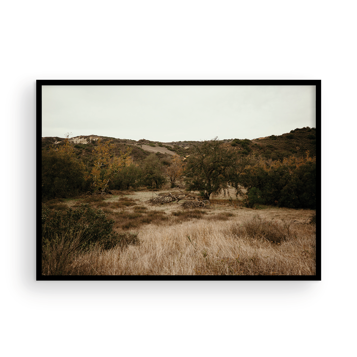 Caspers Wilderness, Two
