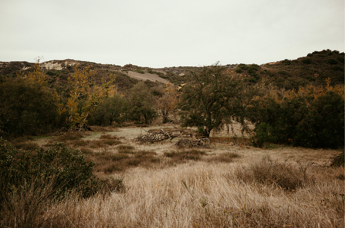 Caspers Wilderness, Two