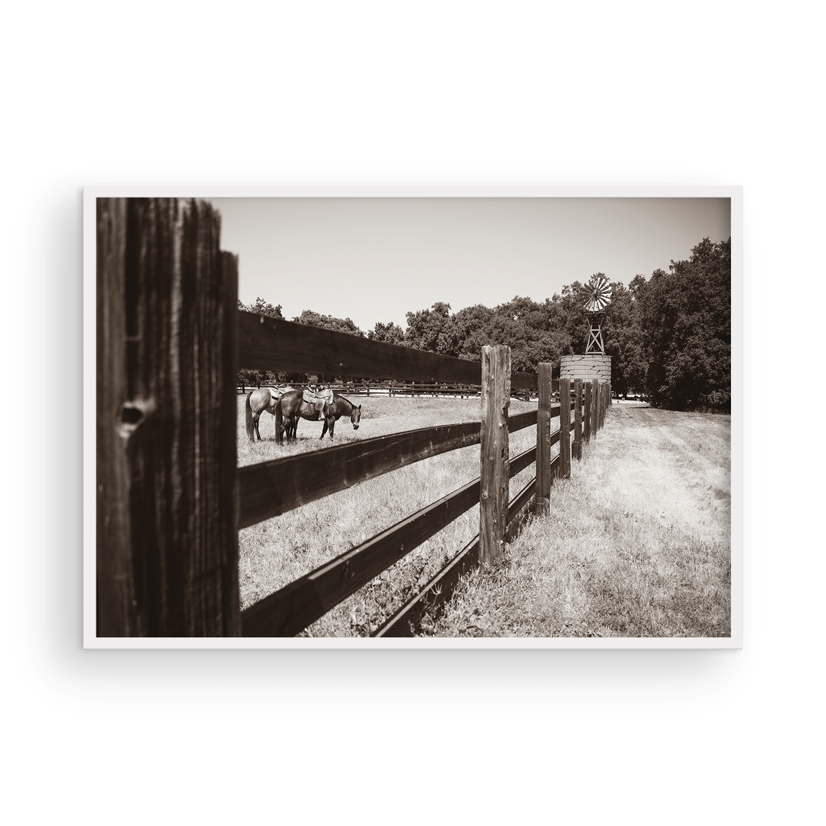 Old Corral