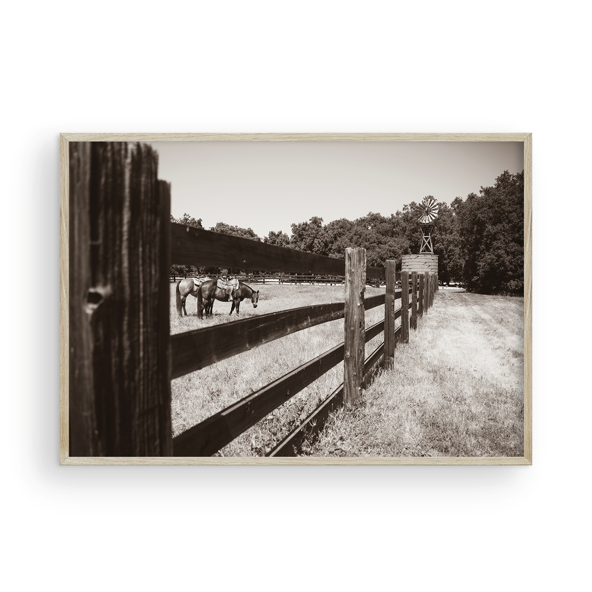 Old Corral