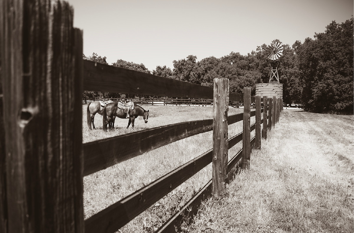 Old Corral