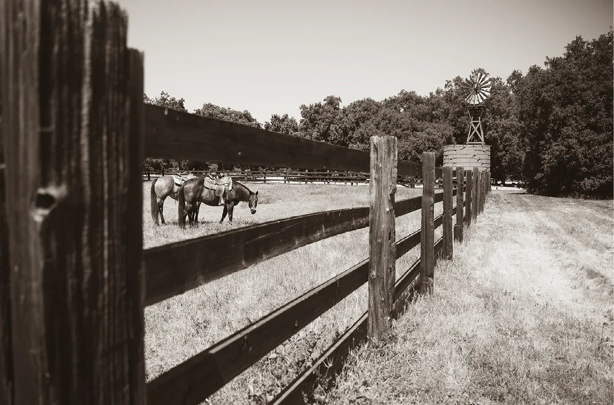 Old Corral