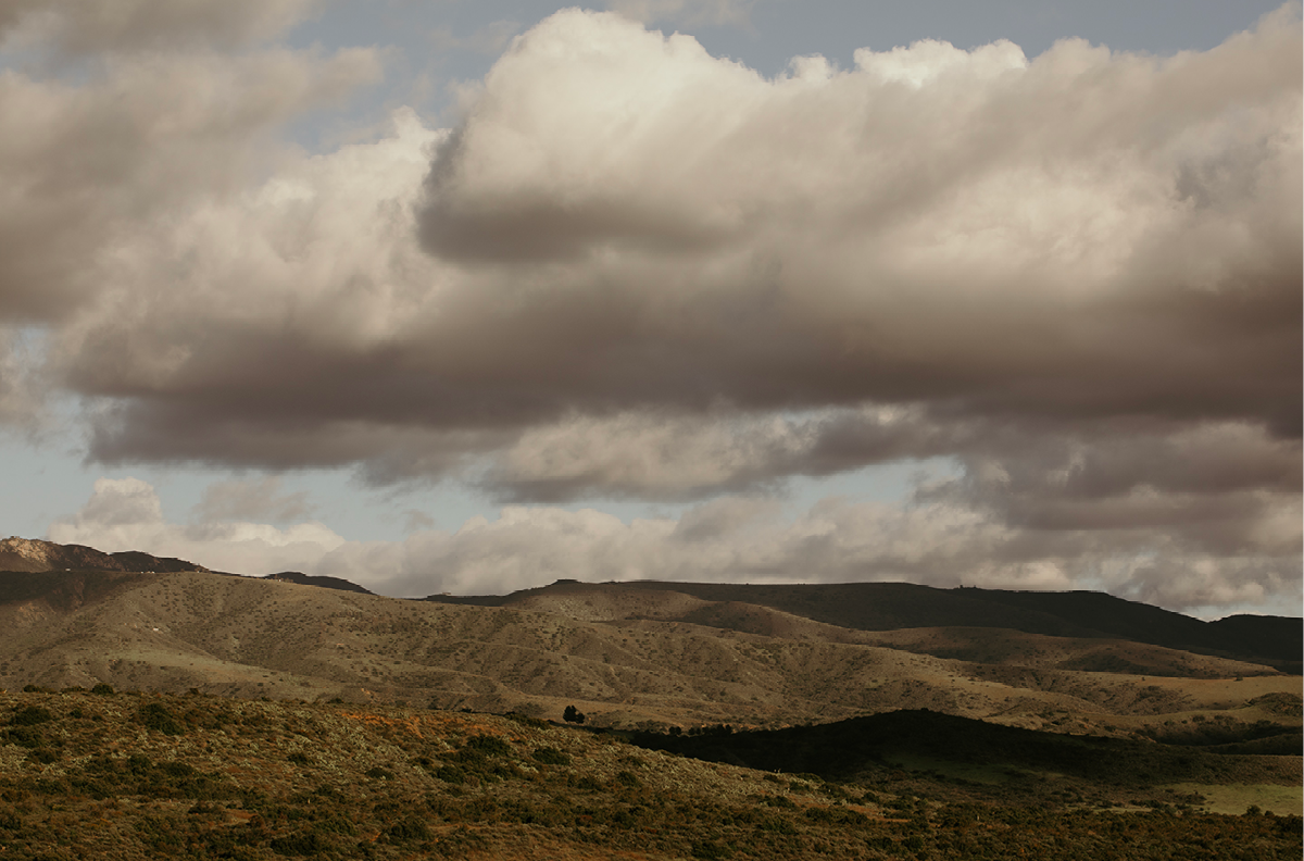 Caspers Wilderness, Three
